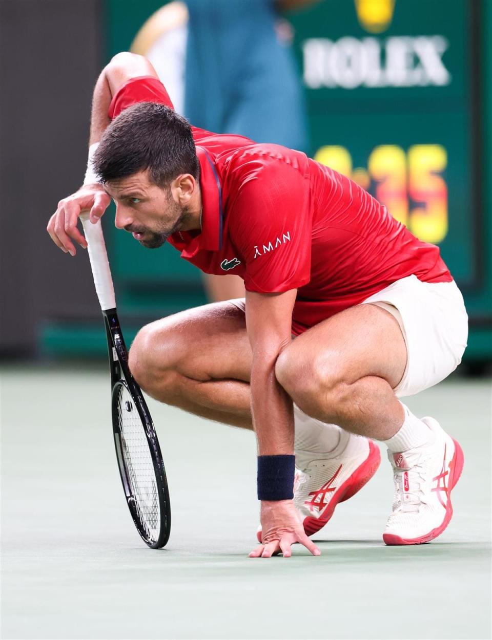 喜欢德约好, 那股拼搏劲, Zkgyq 喜欢德约好, 那股拼搏劲, Zkgyq